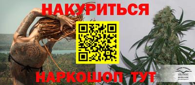 мдпв Обь